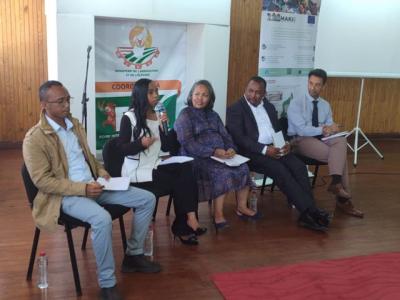 Mandranto Andriamanantsoa et Miranto Andrianariseheno, assistants de recherche au Cirad durant la conférence sur les innovations en milieu rural © M. Rananja, Cirad